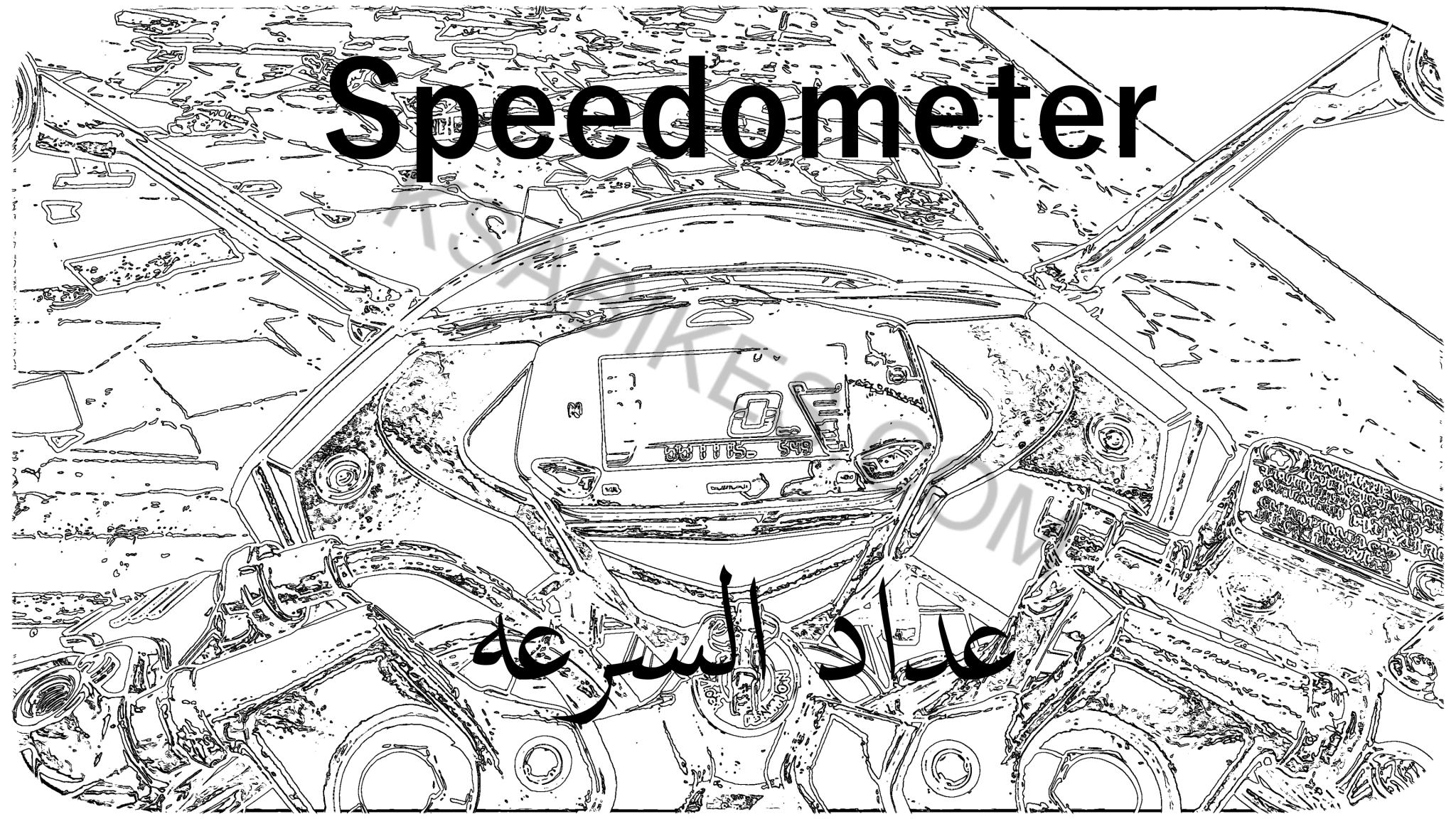 speedot